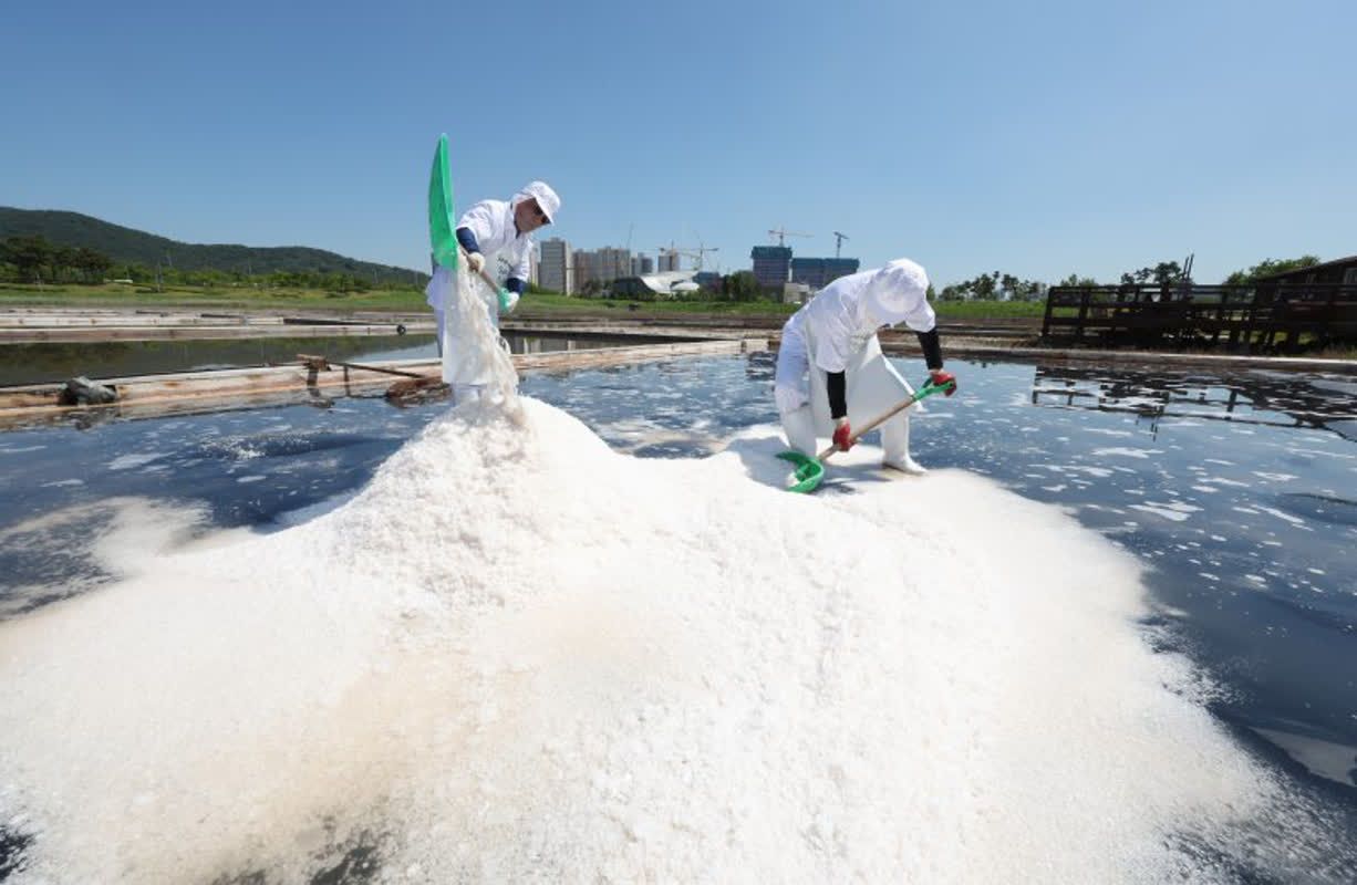 New Tech Can Predict Salt Intake from Food Photos!
